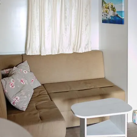 Mobile Homes With Terrace *
